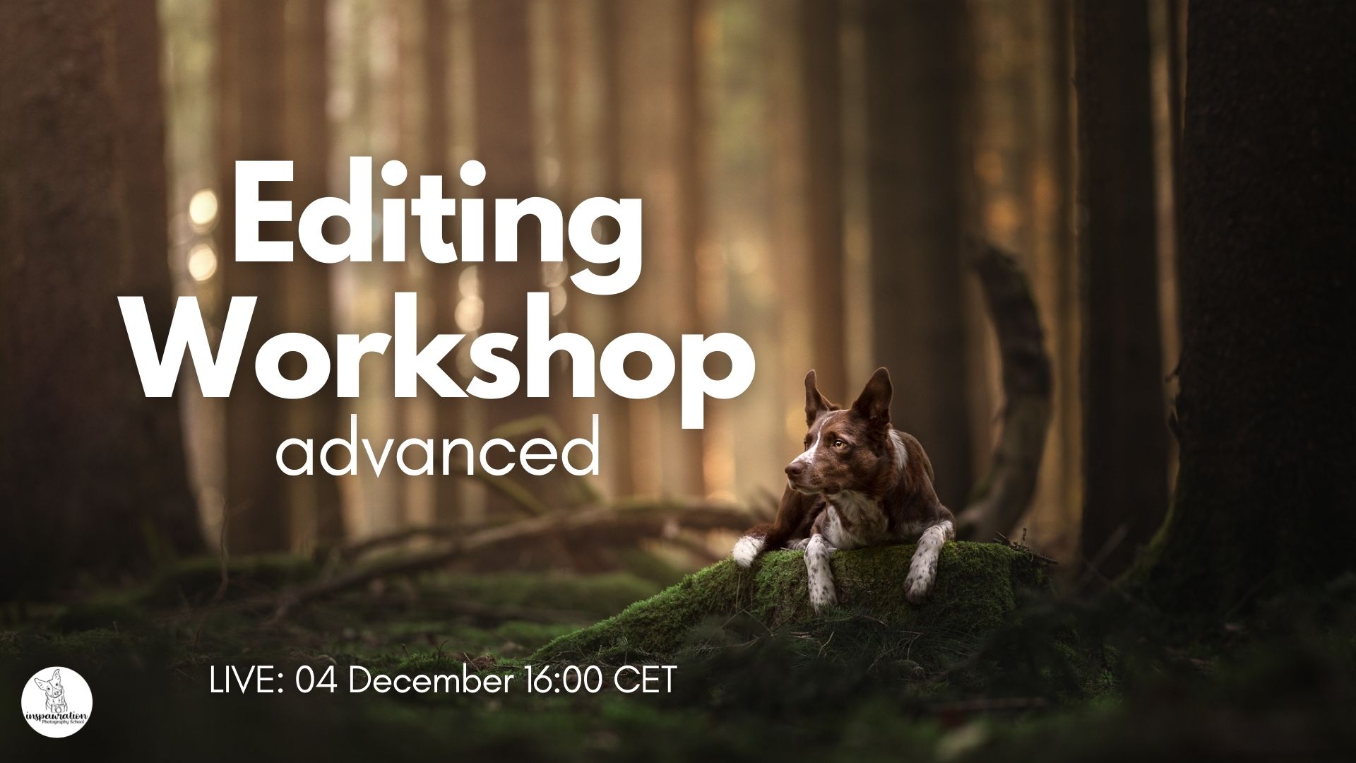 Advanced Editing Workshop