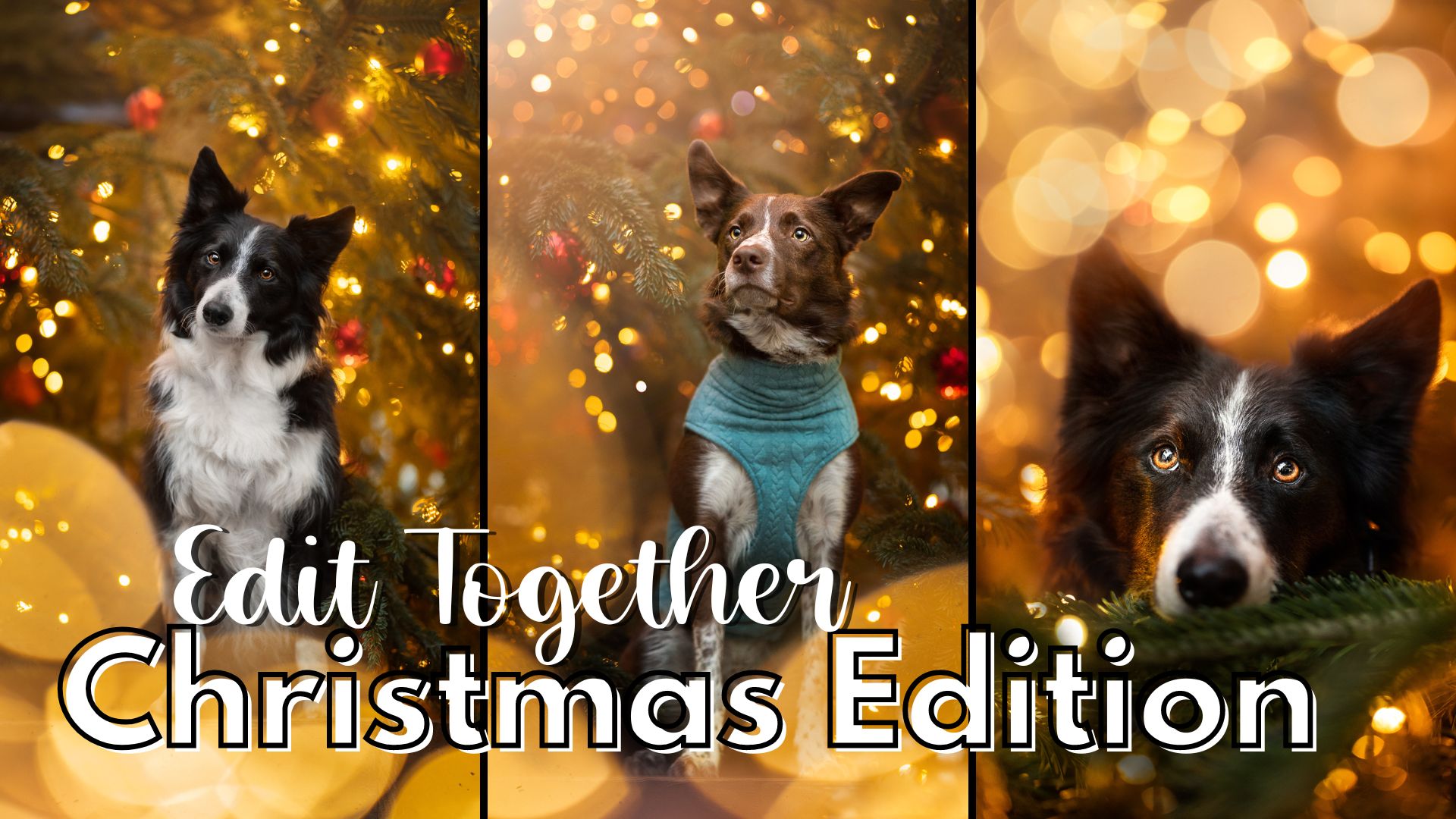 Edit Together: Christmas Edition