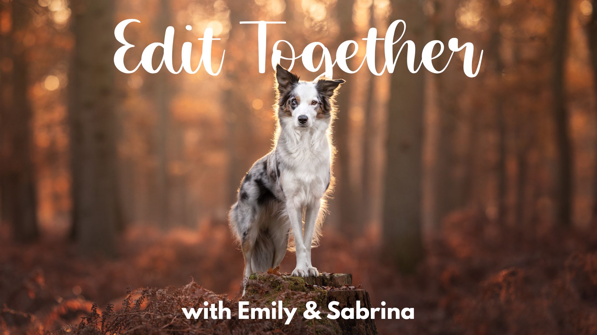 Edit Together with Em & Sabrina