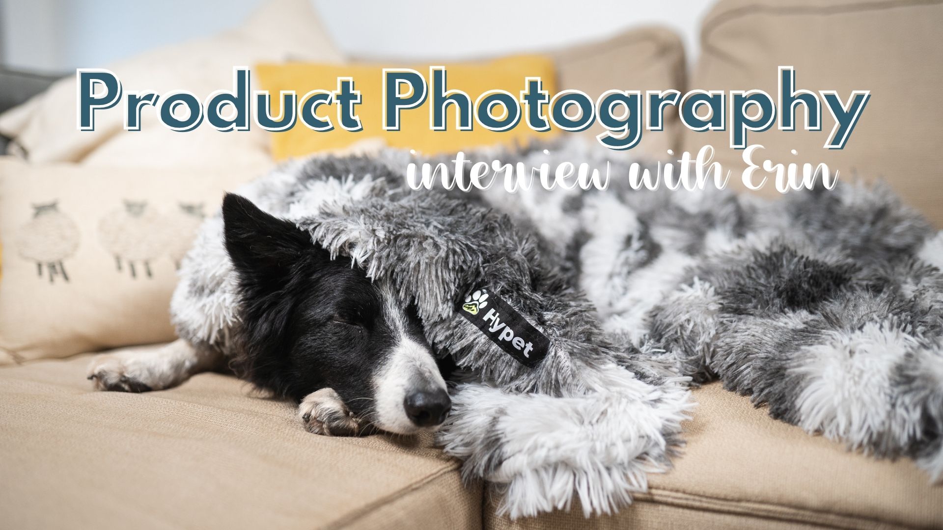 Product Photography & UGC