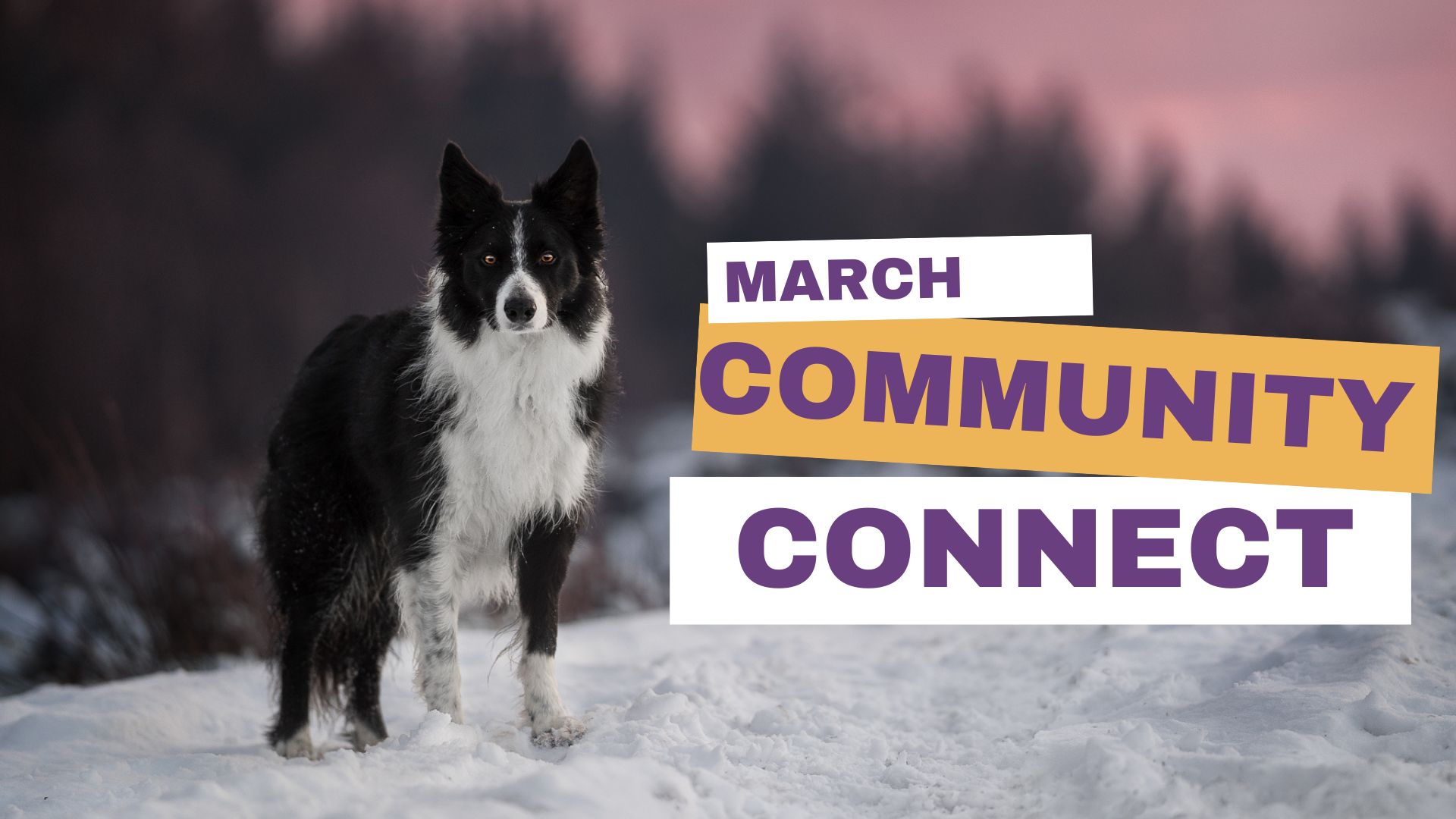March 2023 Community Connect!