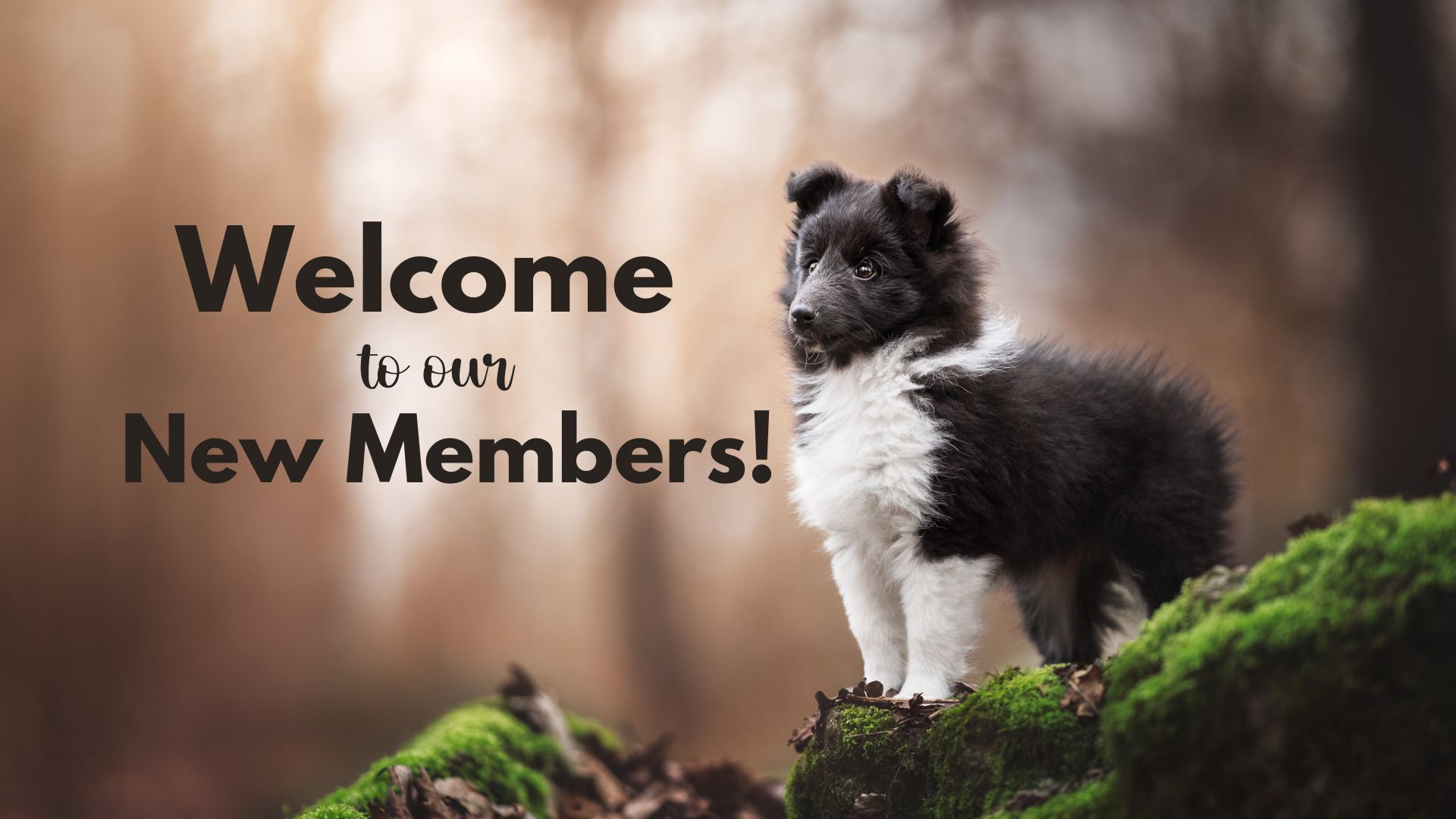 New Member’s Welcome (April 2023)