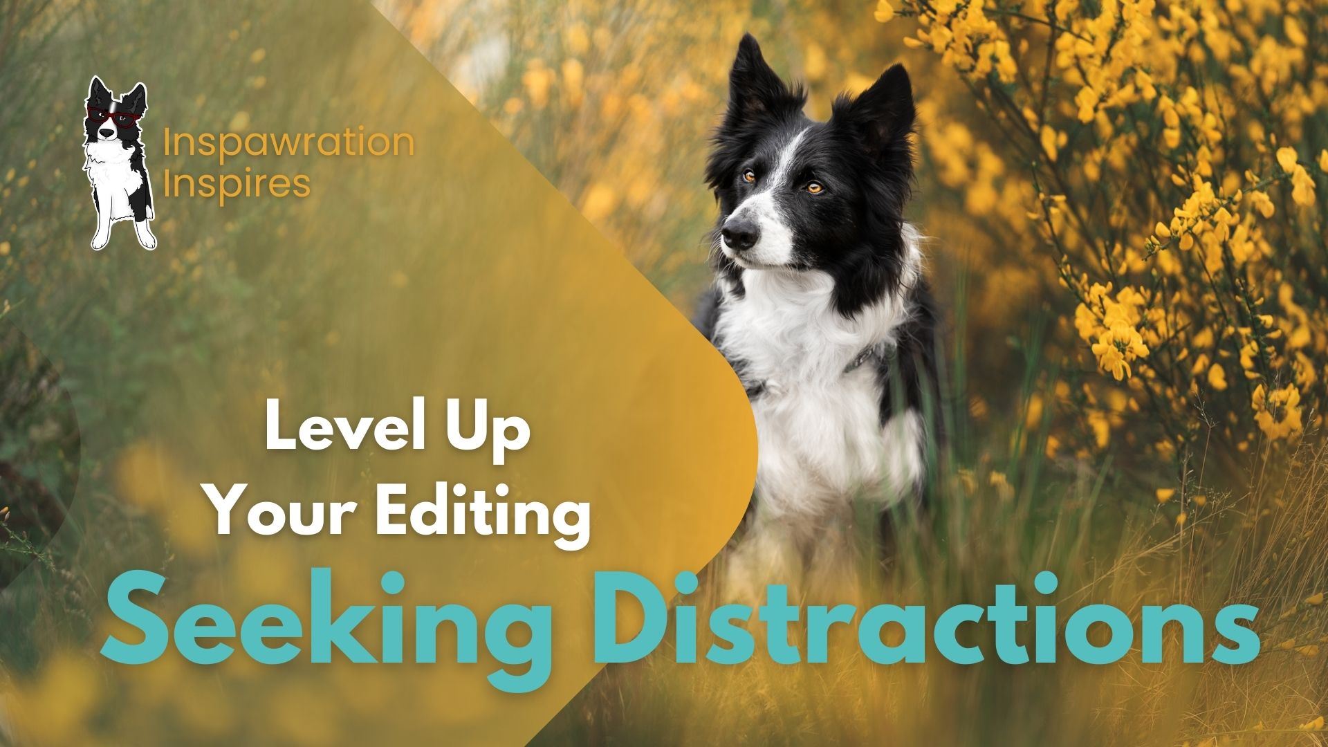 Level Up Your Editing: Seeking Distractions