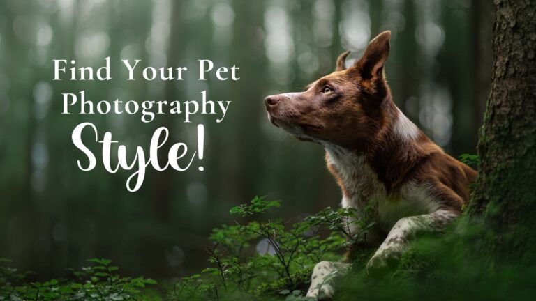 How to Find Your Pet Photography Style