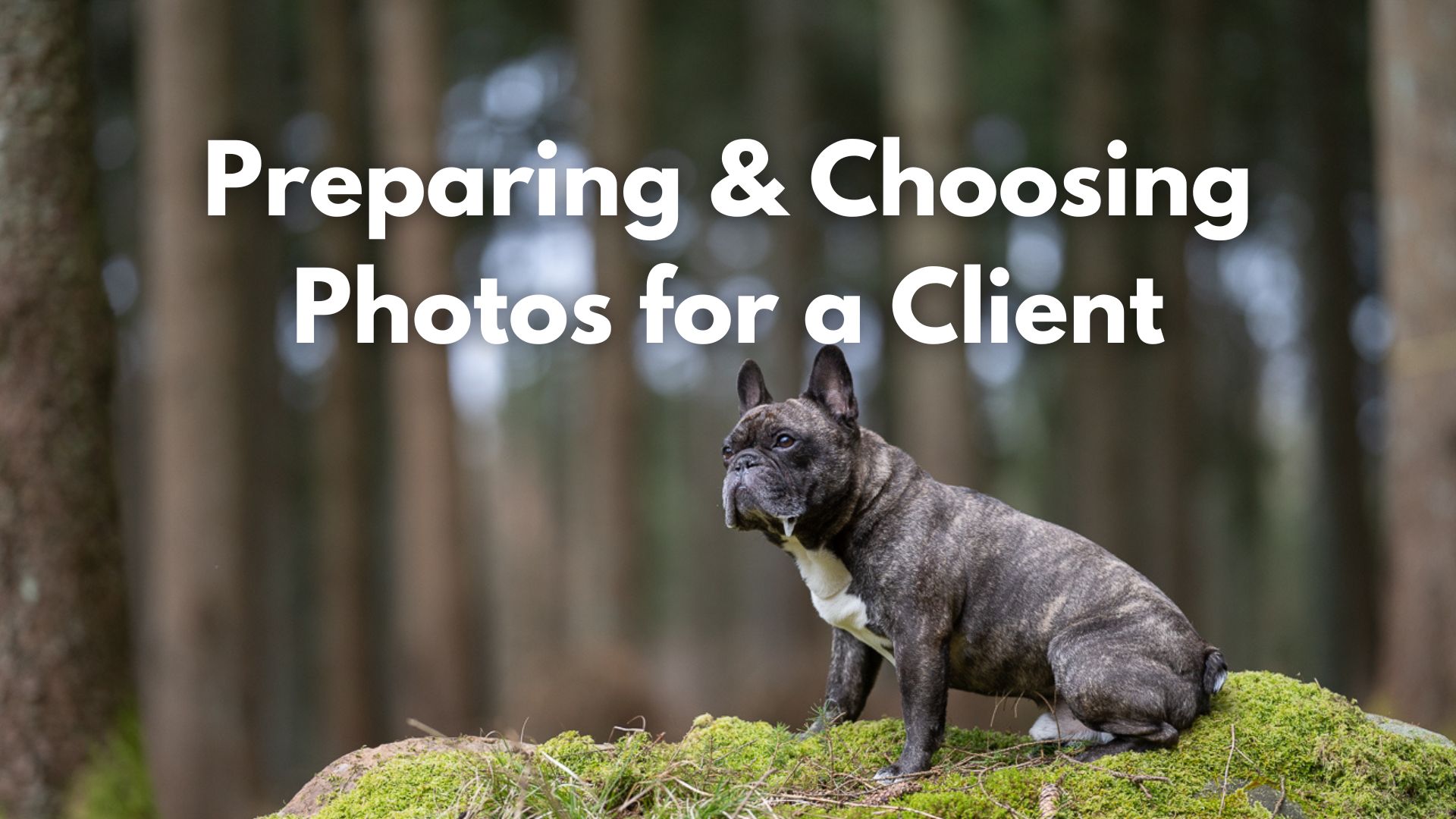 Choosing & Preparing Photos for a Client