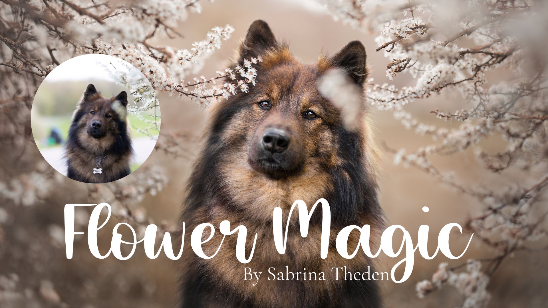 Flower Magic: Blossom Editing Tutorial by Sabrina Theden