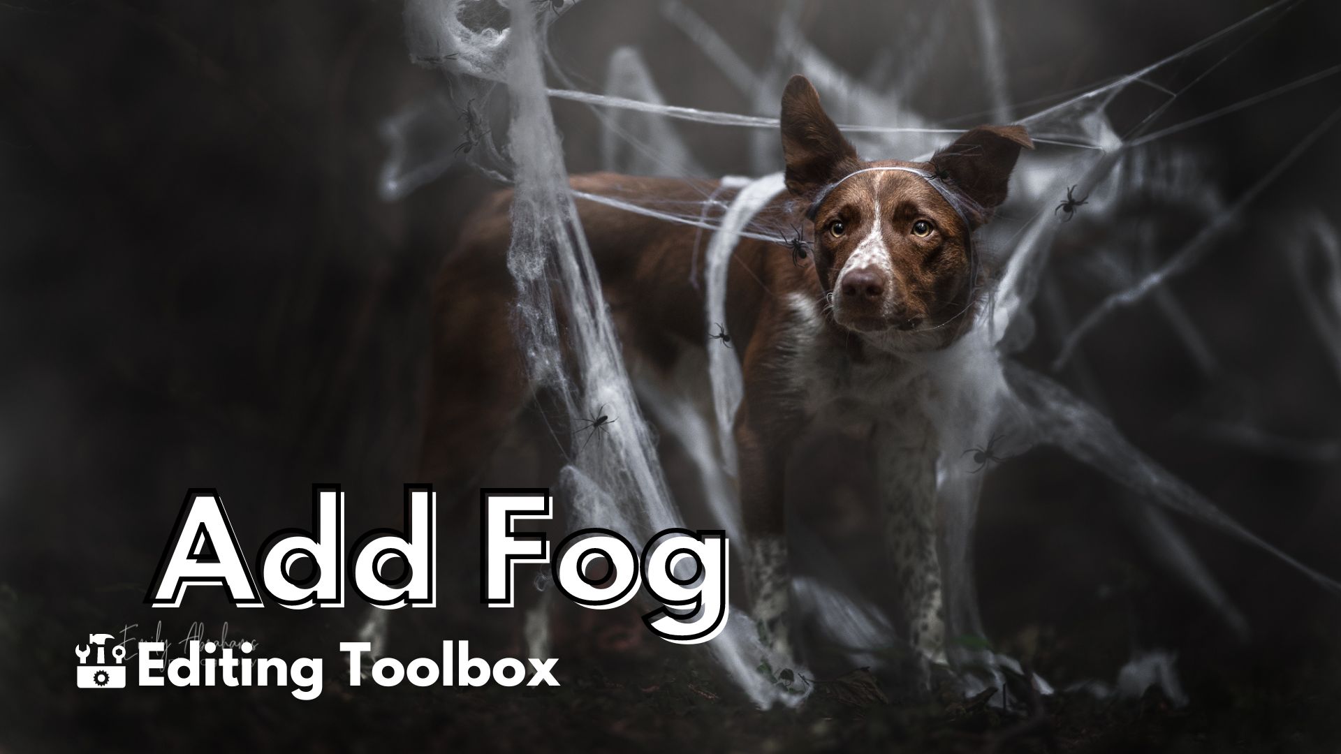 Editing Toolbox: Add Fog