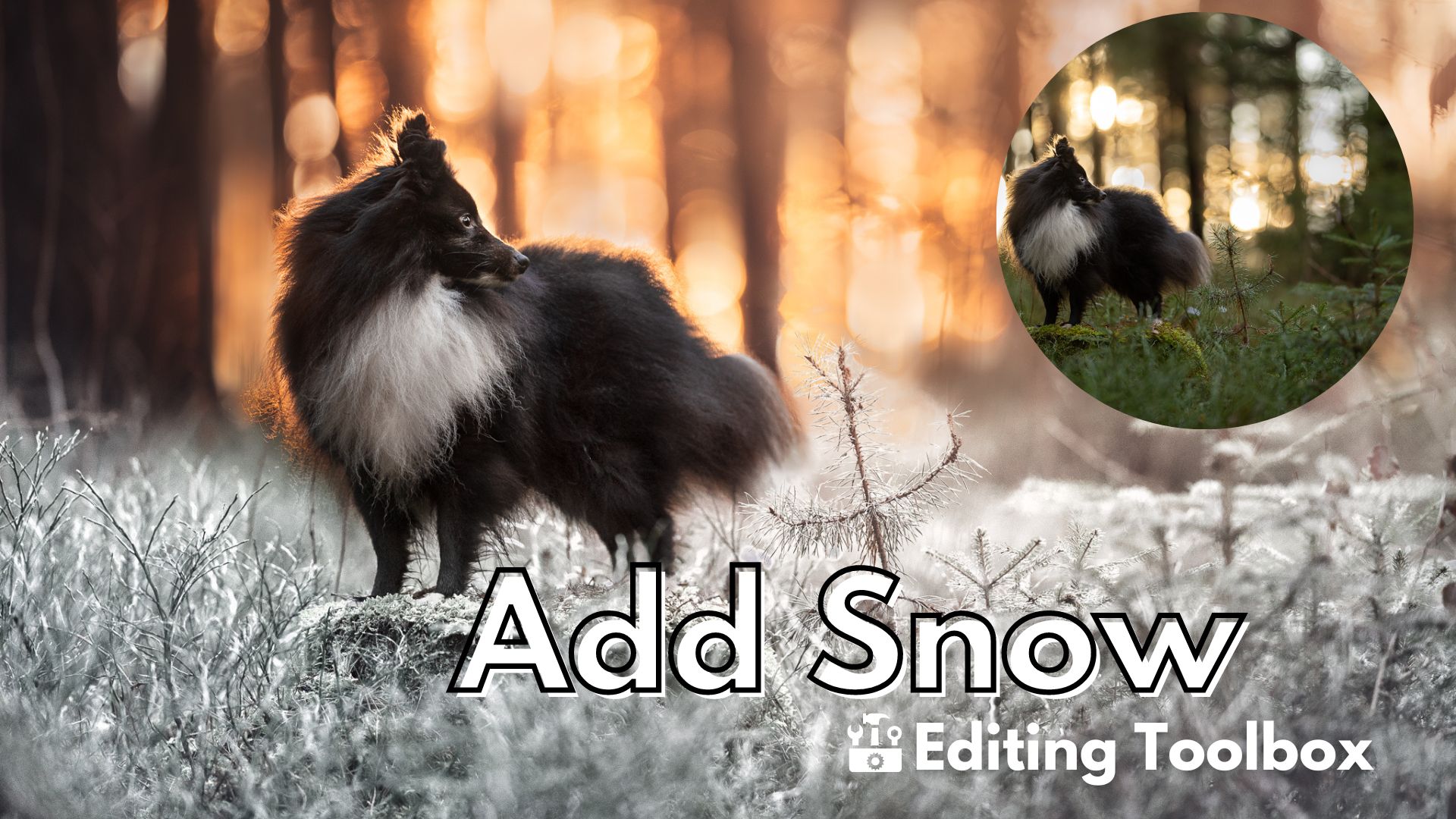 Editing Toolbox: Add Snow