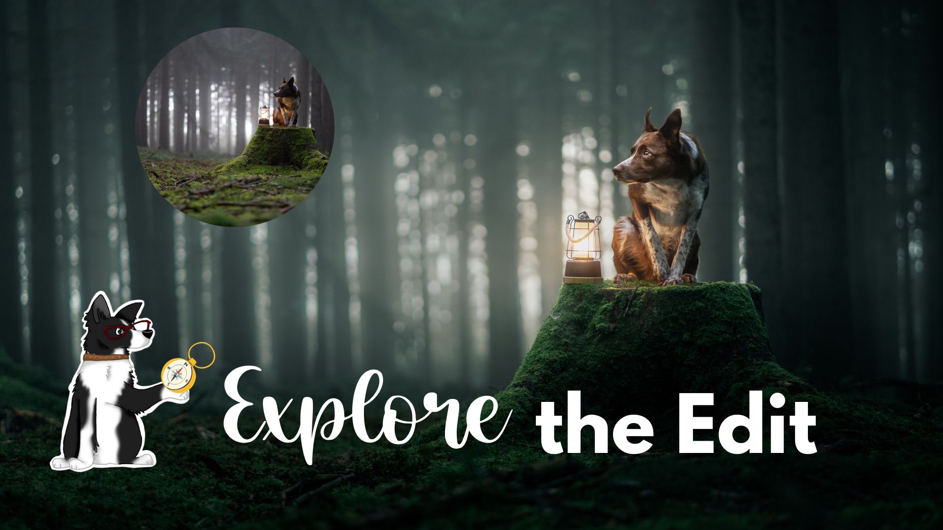 A foggy journey through the woods with the words explore the edit.
