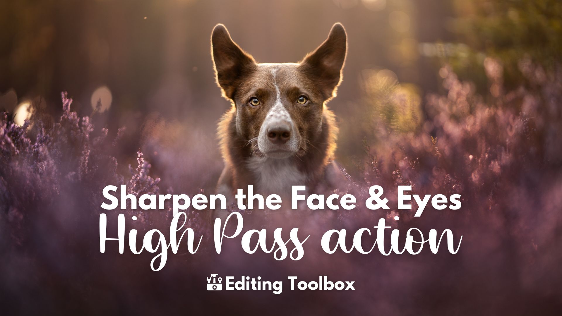 High Pass Action to Sharpen the Face & Eyes
