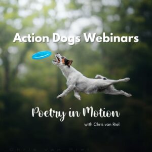 Chris van Riel presents Poetry in Motion: Action Dogs webinar series for dogs in action, frisbee photography, agility photos and more