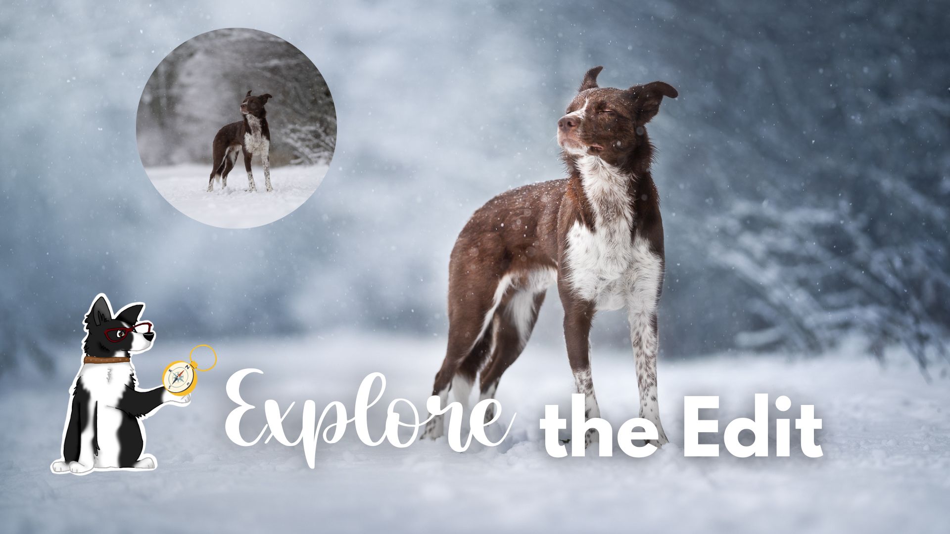 Explore the Edit: Snowy Journey