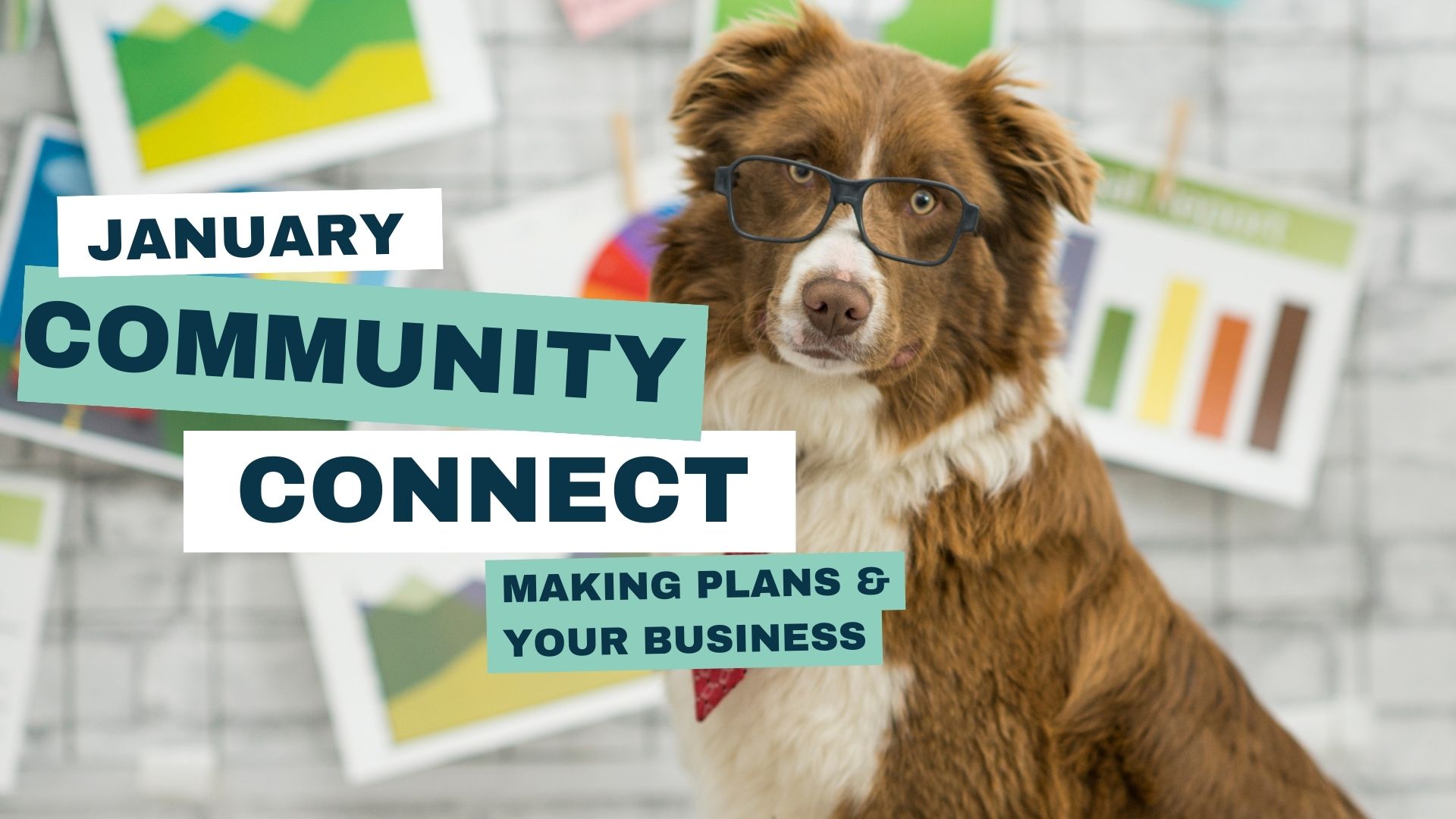 January 2024 Community Connect: Making Plans & Your Business