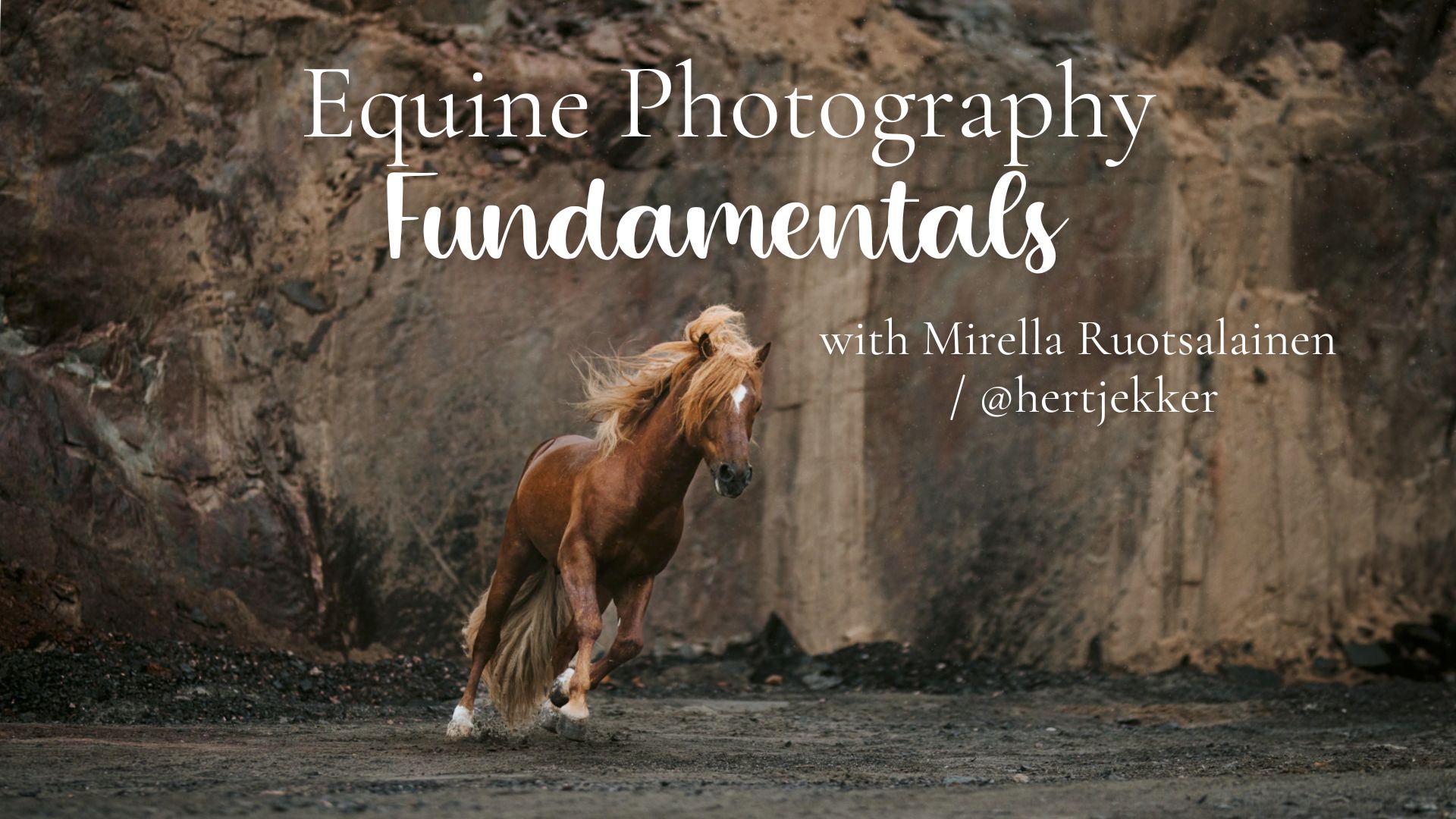 Equine Fundamentals with Mirella Ruotsalainen