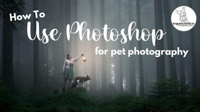 How to Use Photoshop to Edit Your Pet Photos
