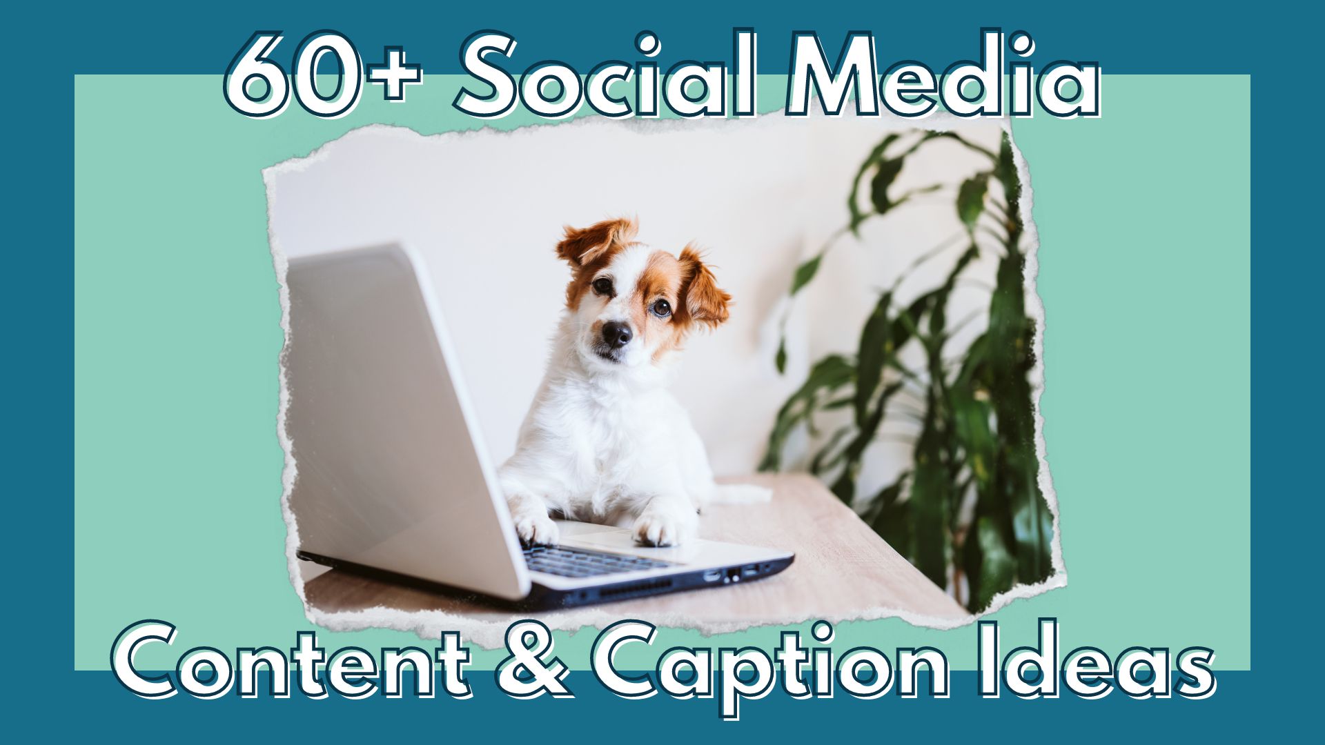 60+ Post & Caption Ideas for Instagram/Social Media