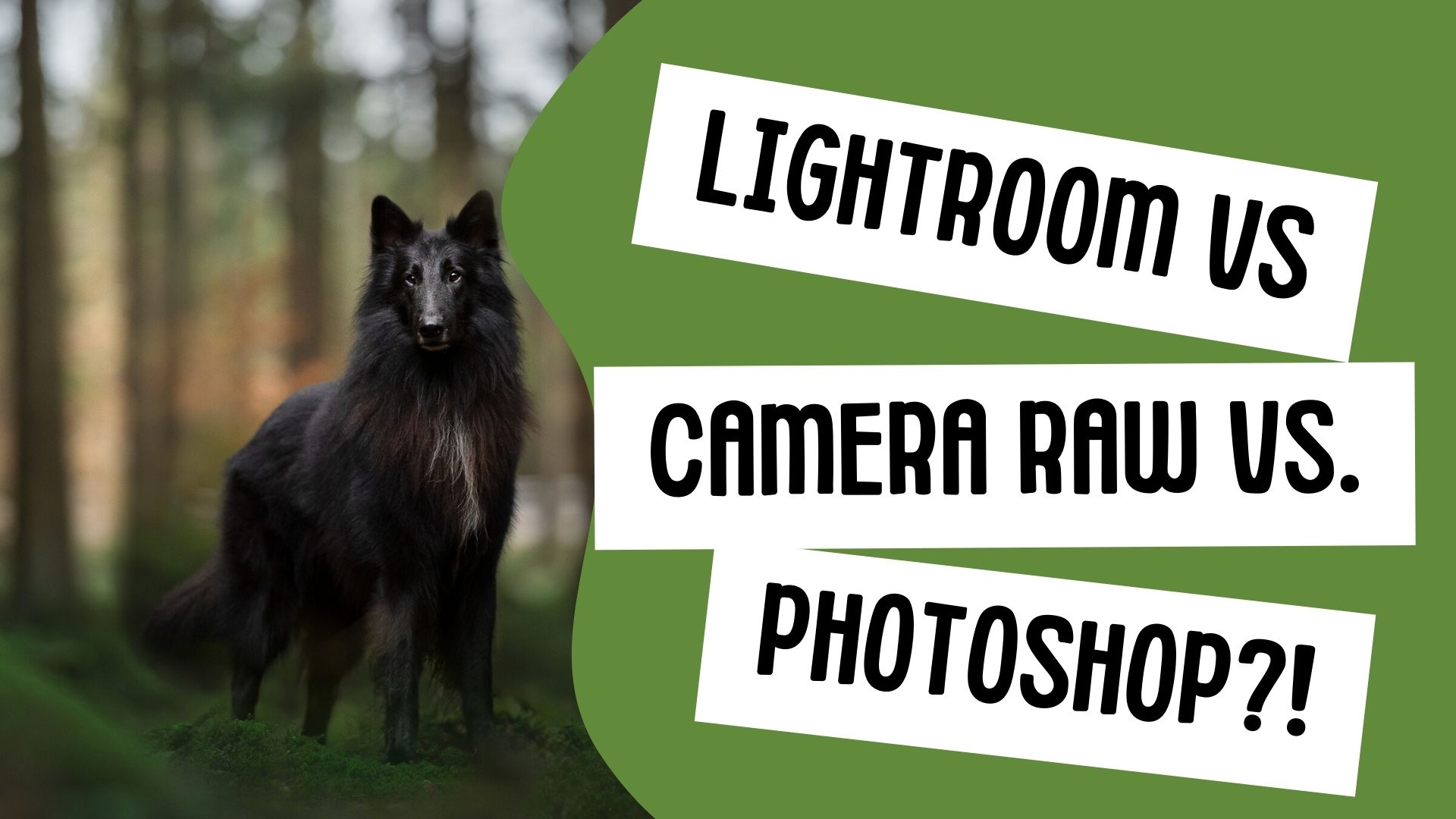 Lightroom vs. Camera Raw vs. Photoshop