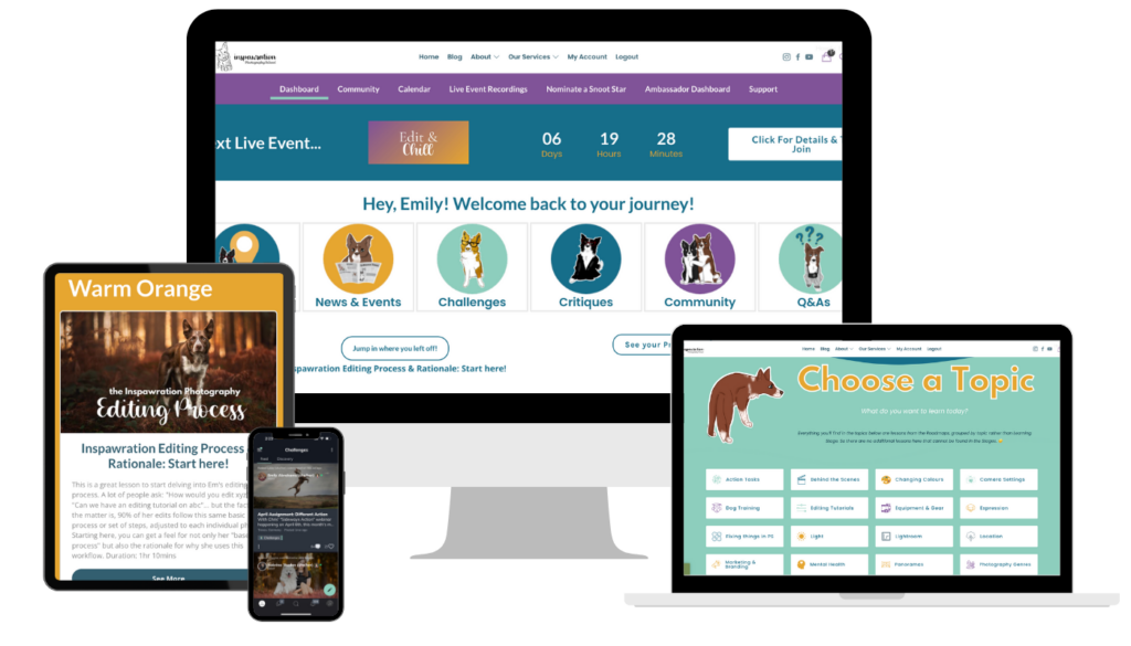 Different devices showing aspects of the online pet photography course and membership and community