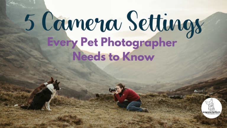 5 Camera Settings Critical for Pet Photography