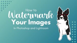 How to Watermark your images in Photoshop and Lightroom