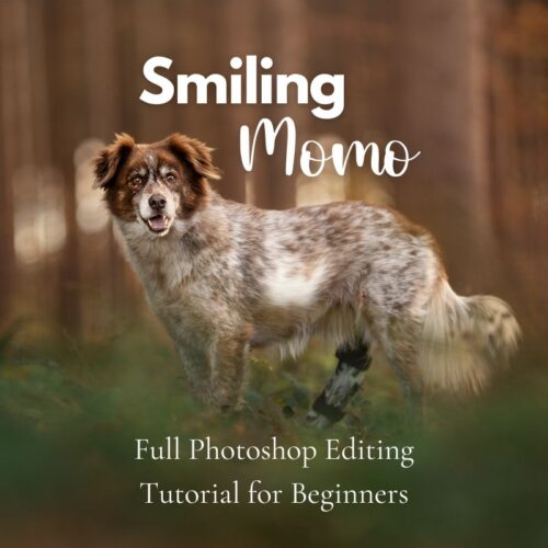 Home - Inspawration Photography