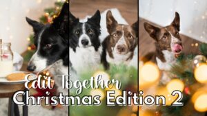 Christmas Editing Bonanza