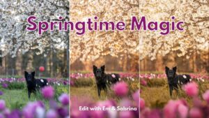 Springtime Magic: Edit Together with Em & Sabrina