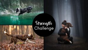 Strength Challenge (April 2025)