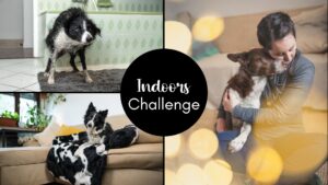 Indoor Challenge (July 2025)