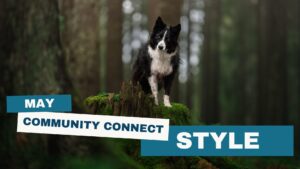 Community Connect: Style