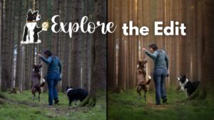 Explore the Edit: Forest Self Portrait