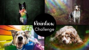 Rainbow Challenge (June 2025)