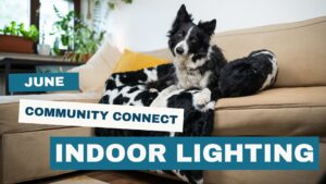 Creative Indoor Lighting: June 2025 Community Connect