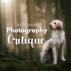 30-Minute Personal Critique Session