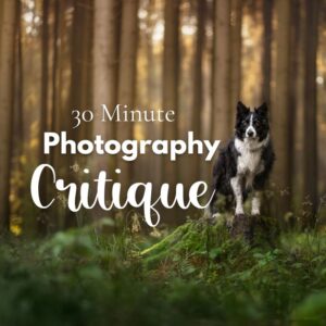 30-Minute Personal Critique Session