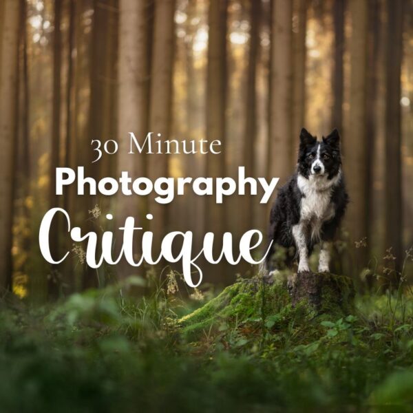 30-Minute Personal Critique Session - Inspawration Photography