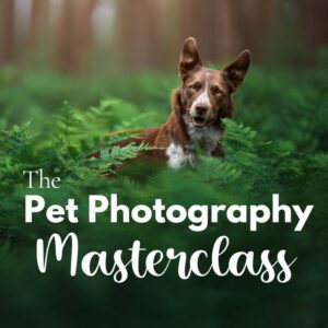 The Pet Photography Masterclass