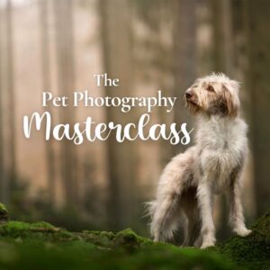 The Pet Photography Masterclass