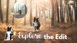 Explore the Edit: Golden Sunshine