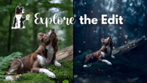 Explore the Edit: Blue Fireflies (2 x Videos!)