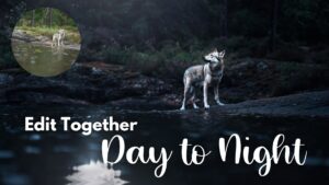 Day to Night: Edit Together
