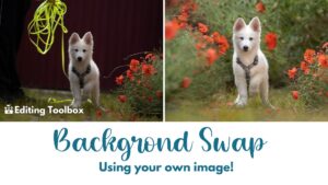 Add Sides, Add Background: Creative Image Manipulation