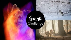 Spark (January 2026)