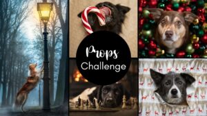 Props (December 2025)