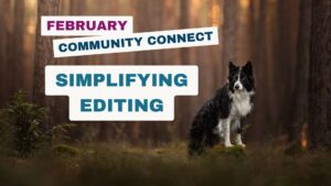 Community Connect: Simplifying Editing