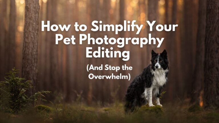 How to Simplify Your Pet Photography Editing (And Stop the Overwhelm)