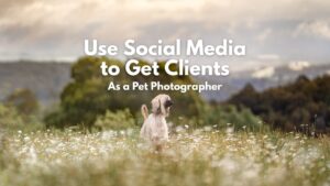 How Pet Photographers Can Use Social Media to Get Clients