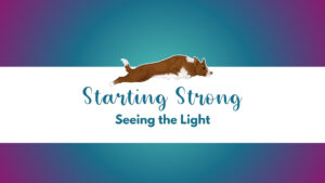 Starting Strong: Seeing the Light