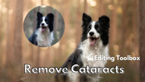 Fix/Remove/Hide Cataracts
