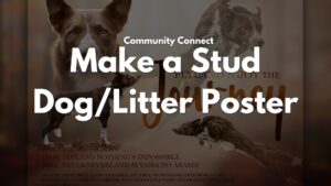 Community Connect: Make a Stud Dog/Litter Poster